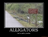 alligators-demotivational-poster-1253047327
