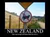 newzealand