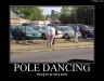 poledancing