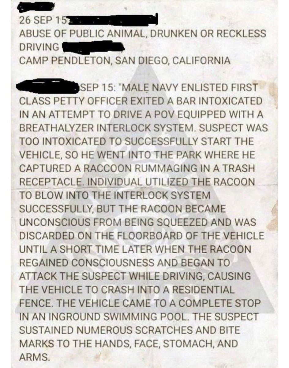 great-police-report